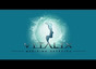 Vitalix Spa