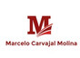 Dr. Marcelo Carvajal Molina