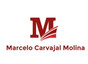 Dr. Marcelo Carvajal Molina