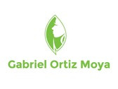 Dr. Gabriel Ortiz Moya