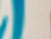 Dra. Catalina Julia Garau