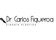 Dr. Carlos Figueroa R