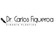 Dr. Carlos Figueroa R