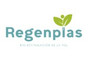 Regenplas