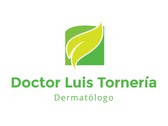 Doctor Luis Tornería