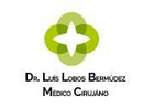 Dr. Luís Lobos Bermúdez