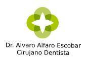 Dr. Álvaro Alfaro Escobar