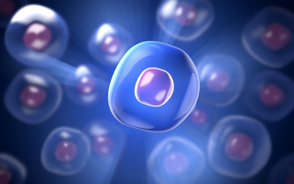 imagen de una célula