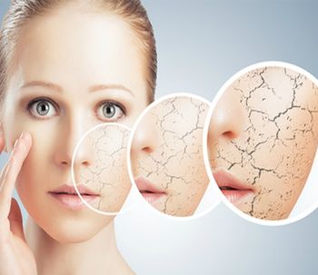 Células madres, la revolución de la medicina estética