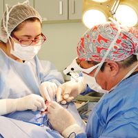 La Otoplastía: una cirugía poco invasiva, de rápida recuperación y al alcance de todos