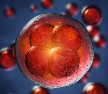 Células madre: potencial regenerador periodontal