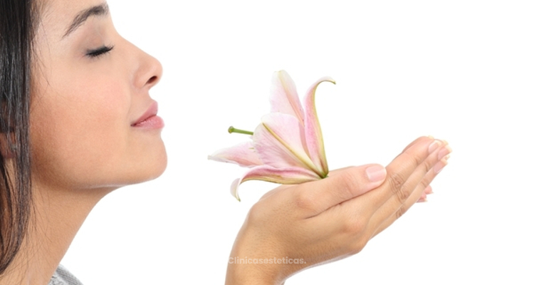 ​Rinoseptoplastia: la combinación perfecta para tu nariz