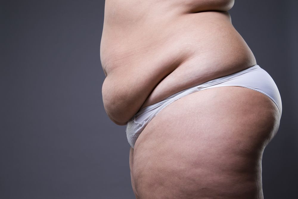 abdomen