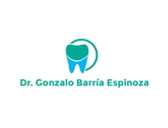 Dr. Gonzalo Barría Espinoza