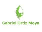Dr. Gabriel Ortiz Moya
