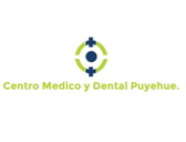 Centro Médico y Dental Puyehue