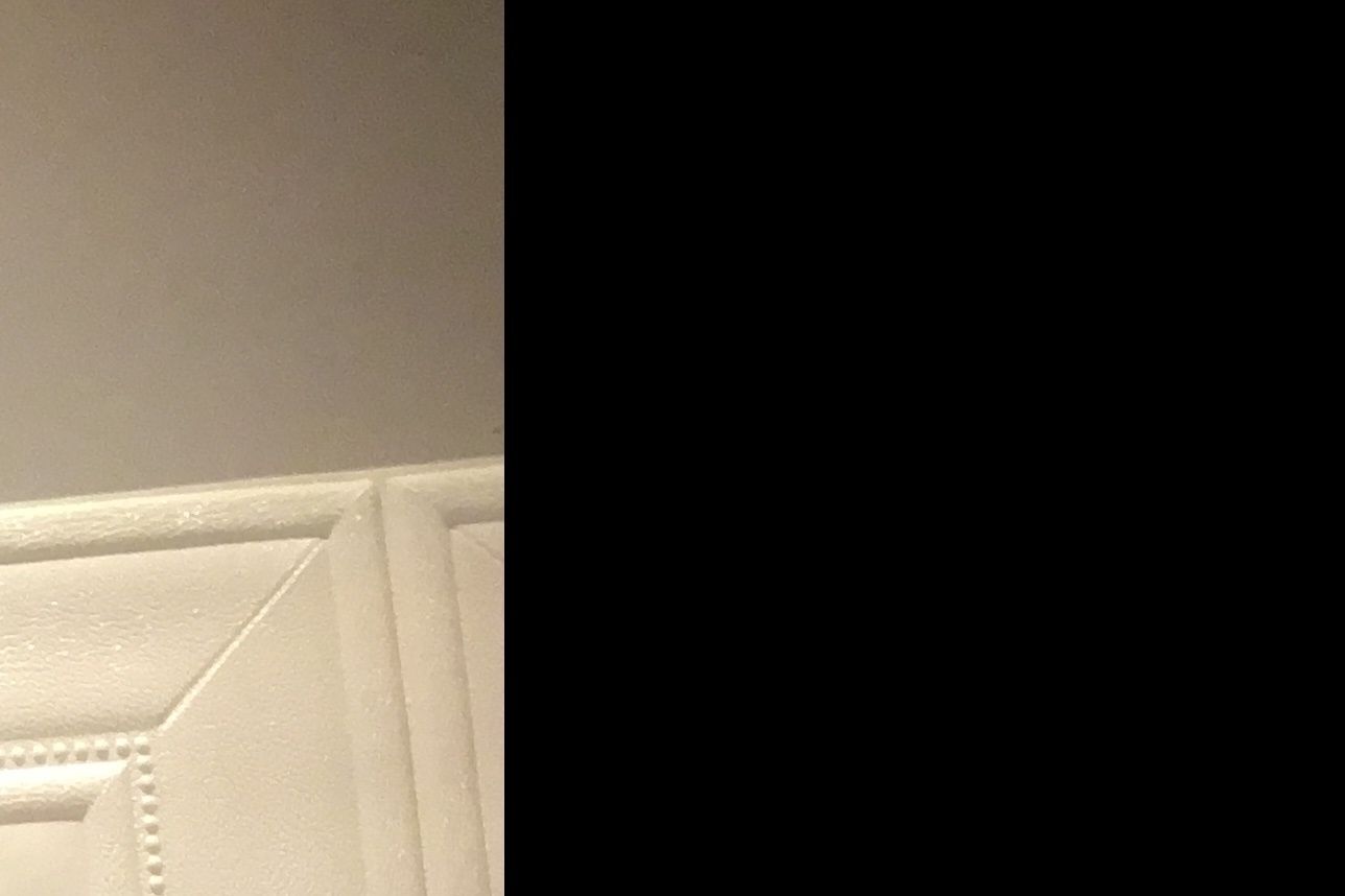 21829