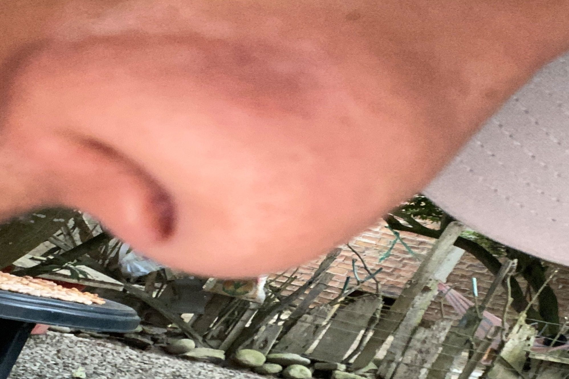 32281