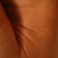 Piel