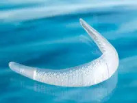 Prótesis para el rostro Implantech Prótesis para el rostro Implantech