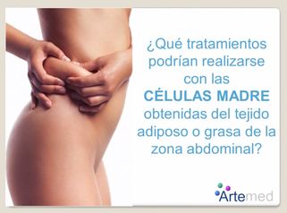 Las células madre para rejuvenecer