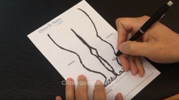 Vídeo Explicativo Elva