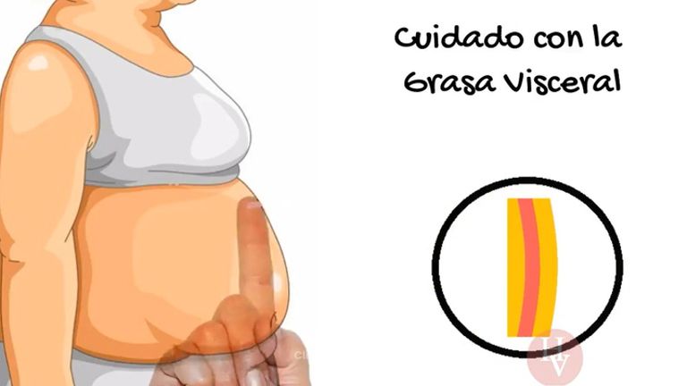 ¿Qué es la grasa visceral?