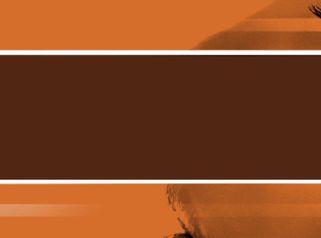 Rinoplastia - Doctor Patricio Stevens Moya