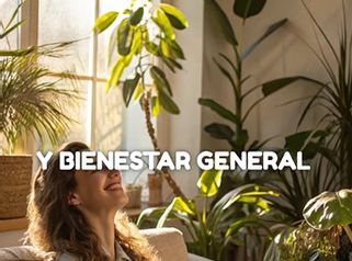Beneficios de la mamoplatia reductora - Dr Aref Ayaach Rodriguez